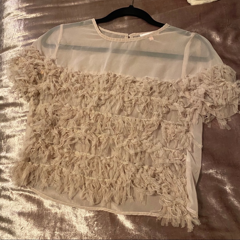 Blush Frilly Mesh Top - Picture 3 of 4